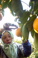 ���Ƃ��Ȃ��悤�ɋC�����āB