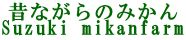 �̂Ȃ���݂̂���
Suzuki mikanfarm
