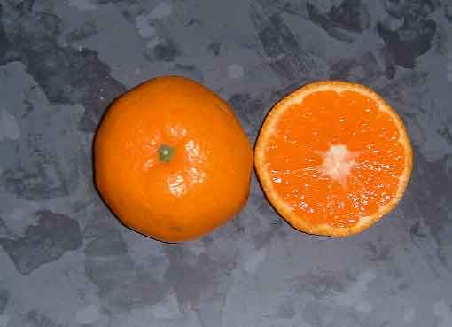 mikan