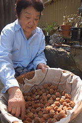 낻ǂȁ`H