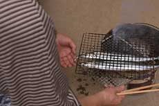 手馴れた手つきで