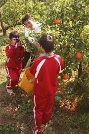 かっこよく友達を写してあげて!