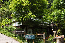 もみじや桜など、ちょっとした庭園風景も味わえます。