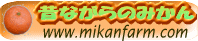 昔ながらのみかん　鈴木農園　バナー