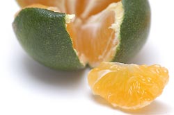 粒が瑞々しい