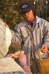 味覚は人それぞれ。信じるのは今までの経験と勘。