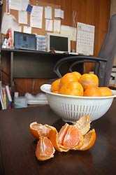 私の仕事部屋