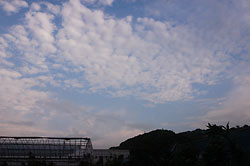もうすぐ秋ですねー