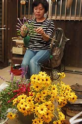 色とりどりの花