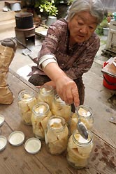 タケノコの瓶詰め製作中