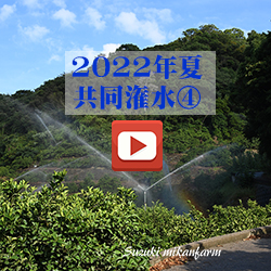 YouTube動画・2022年夏共同潅水