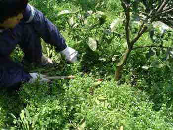 ������������