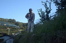 いい日陰だ。