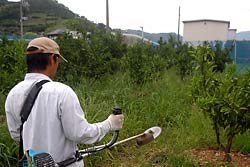 Jnł