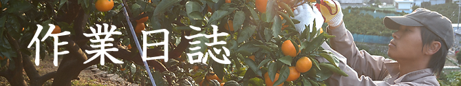作業日誌トップページへ