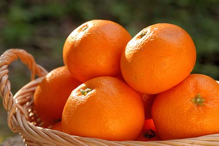 ��ؔ_���̖{�����E���o���݂���